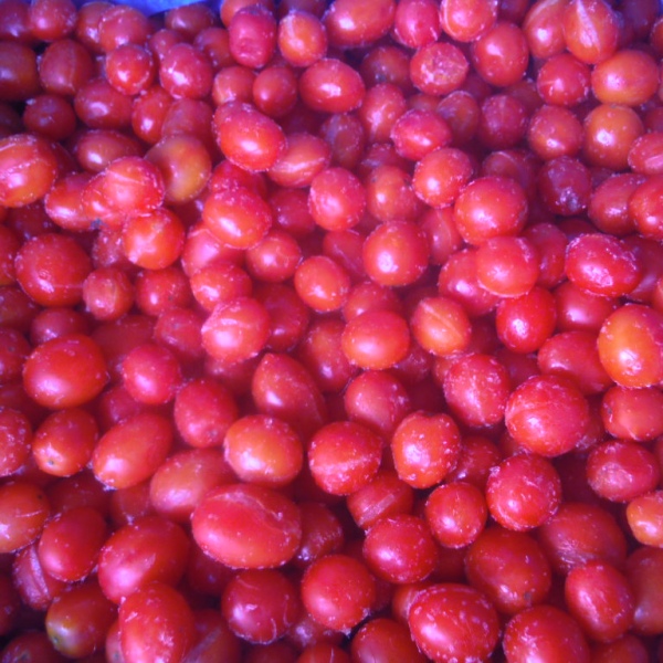 cherry tomato3_副本