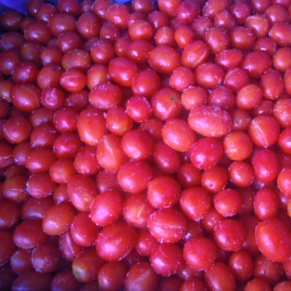 cherry tomato_副本